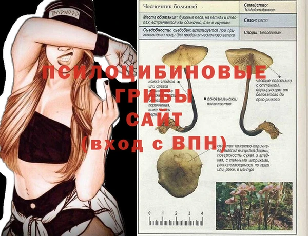 дмт Зеленодольск