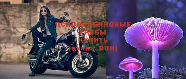spice Зерноград