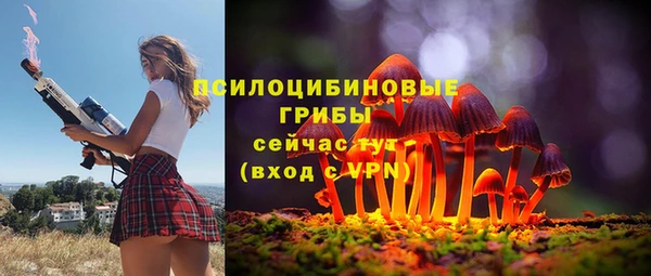 тгк Зеленокумск
