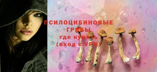 дмт Зеленодольск